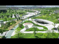 Système anti-UAV de Wukong